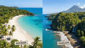 Paysage tropical illustrant le choix de vacances entre Martinique ou Guadeloupe avec plage et volcan